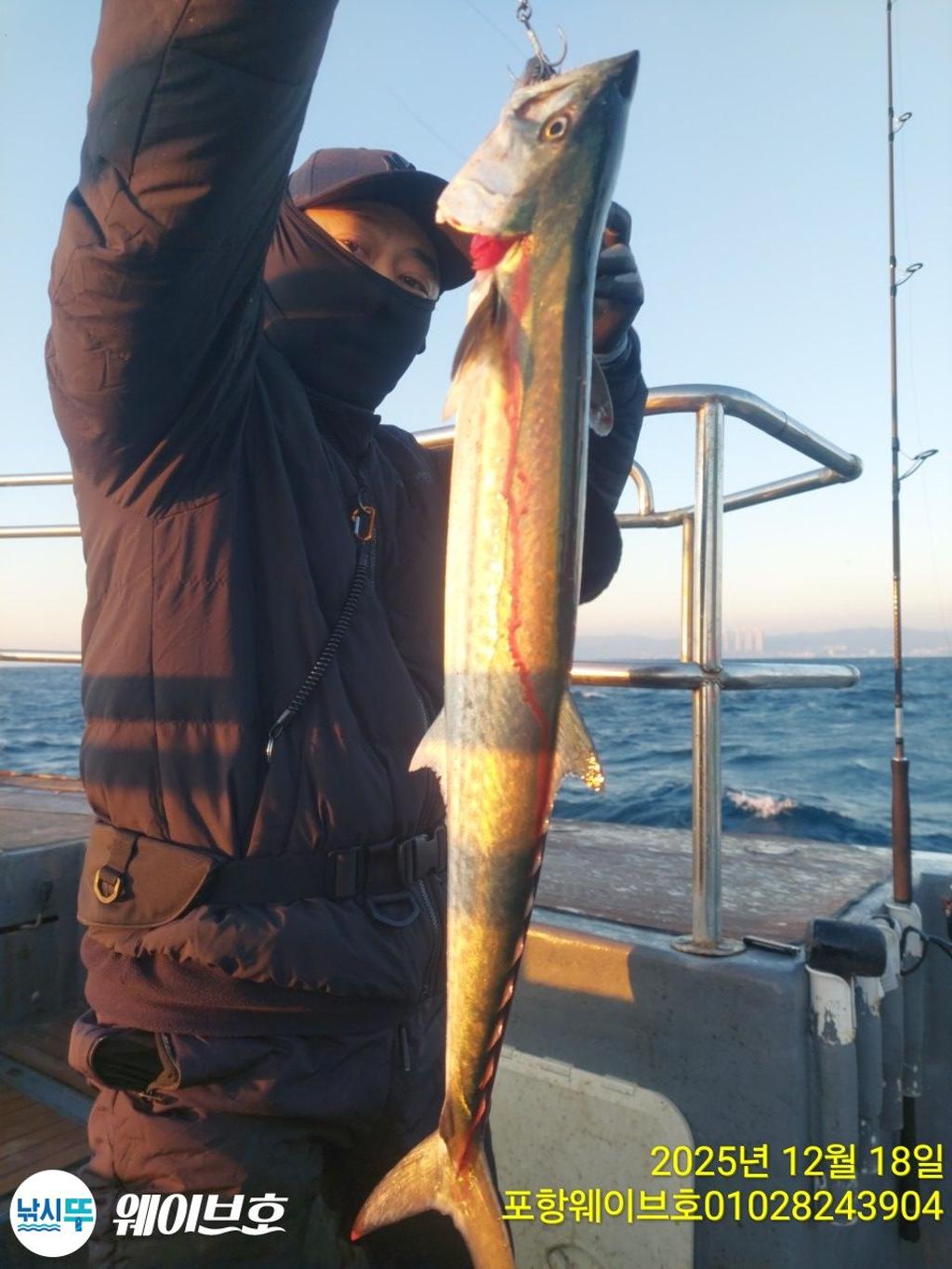 낚시뚜,방어,삼치,구룡포항,뉴웨이브호,낚시뚜7