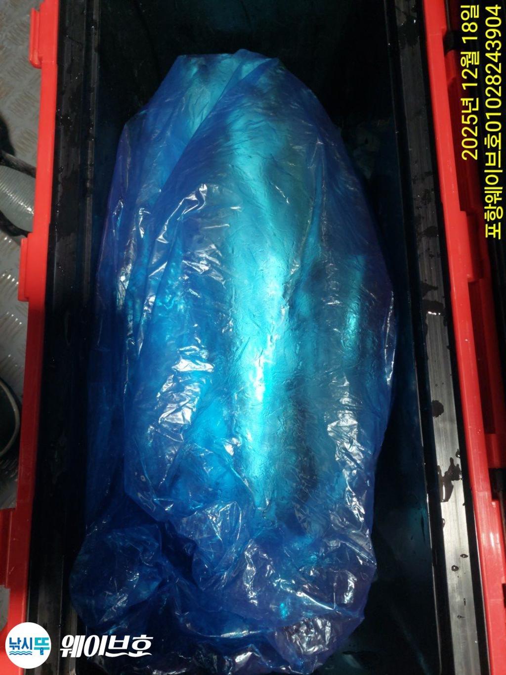 낚시뚜,방어,삼치,구룡포항,뉴웨이브호,낚시뚜14