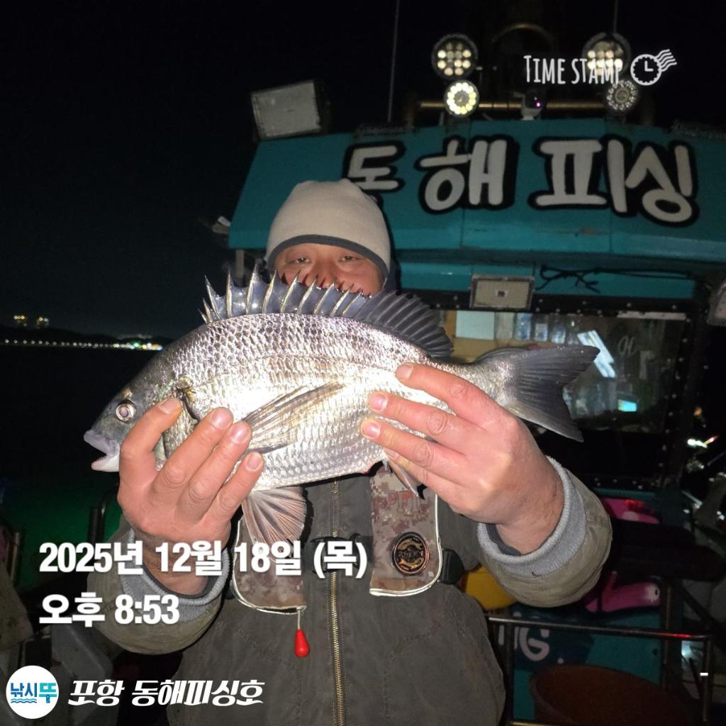 낚시뚜,감성돔,포항(운하관),포항 동해피싱호,낚시뚜3