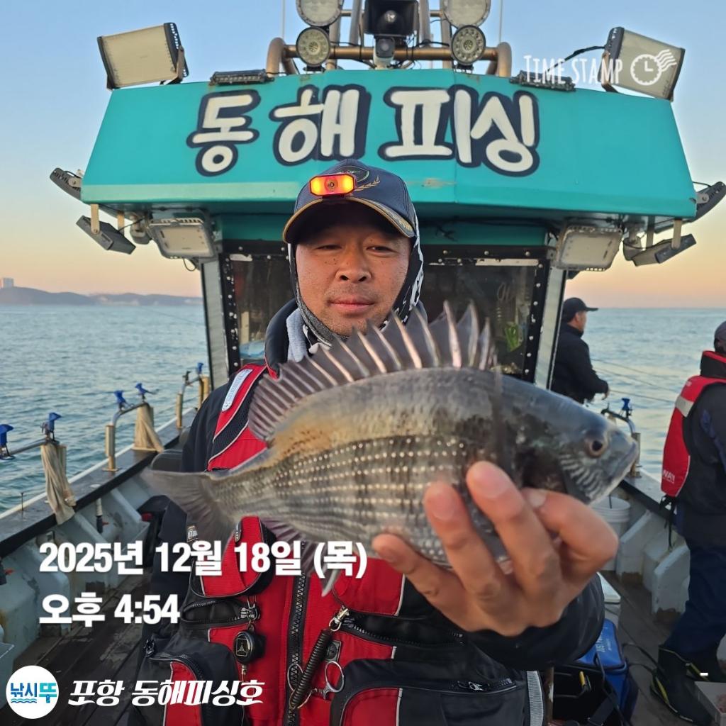 낚시뚜,감성돔,포항(운하관),포항 동해피싱호,낚시뚜4