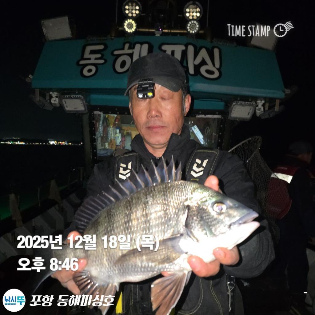 낚시뚜,감성돔,포항(운하관),포항 동해피싱호,낚시뚜1