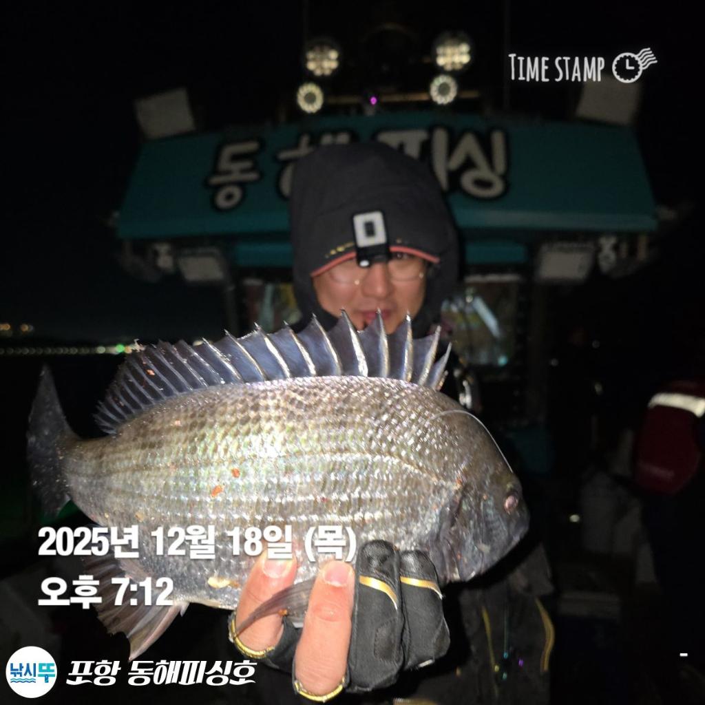 낚시뚜,감성돔,포항(운하관),포항 동해피싱호,낚시뚜0
