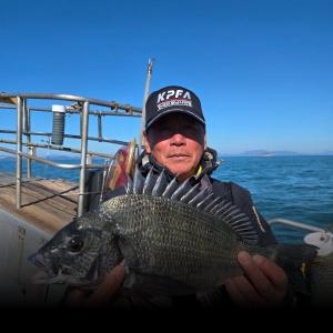 조황, 실전낚시 12월18일 감성돔을 대상으로 다녀왔습니다 