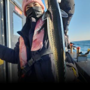 조황, 12-18(실시간)방어.삼치~~쿨러만땅^^금.토오후모집