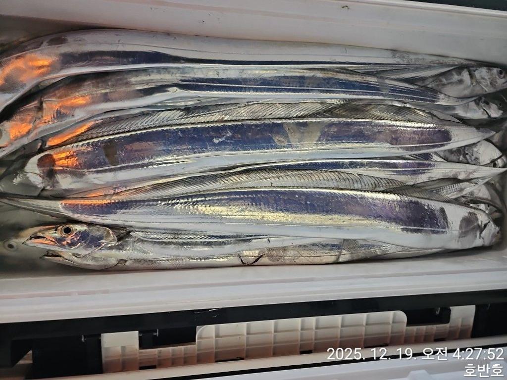 낚시뚜,갈치,통영 신전항,통영호반호,낚시뚜41