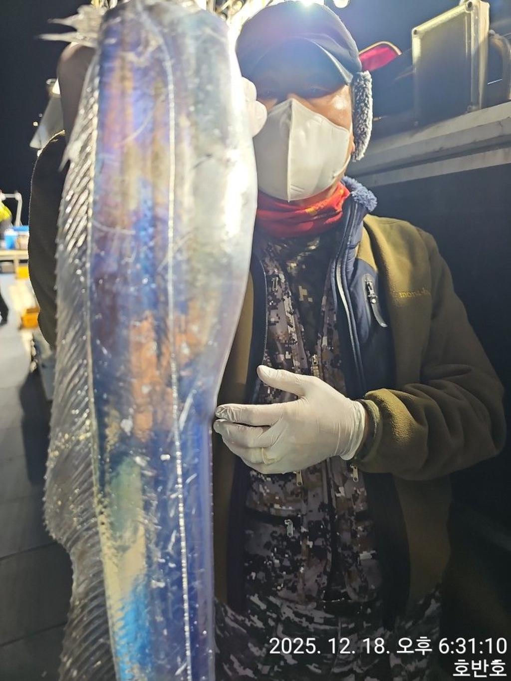 낚시뚜,갈치,통영 신전항,통영호반호,낚시뚜30