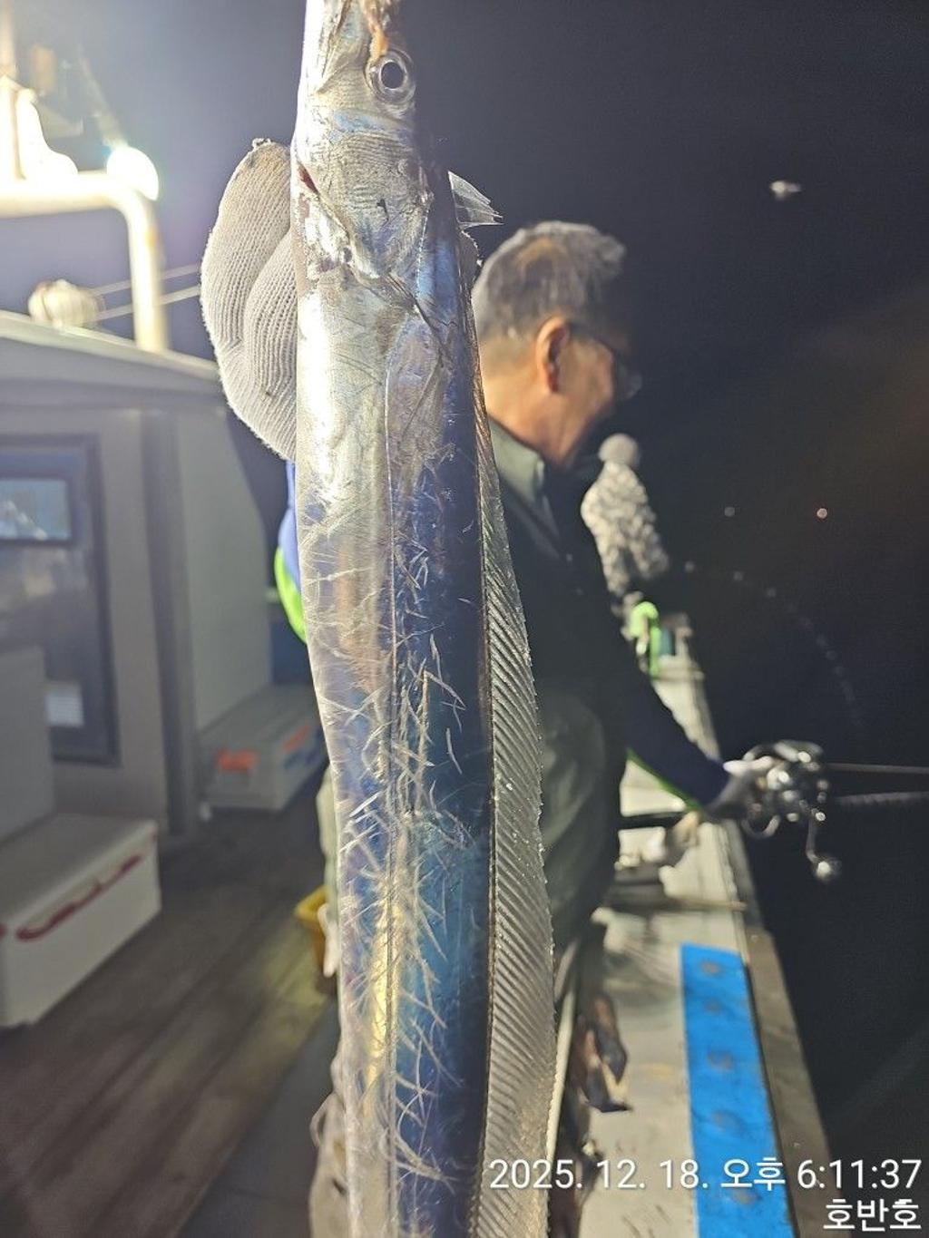 낚시뚜,갈치,통영 신전항,통영호반호,낚시뚜28