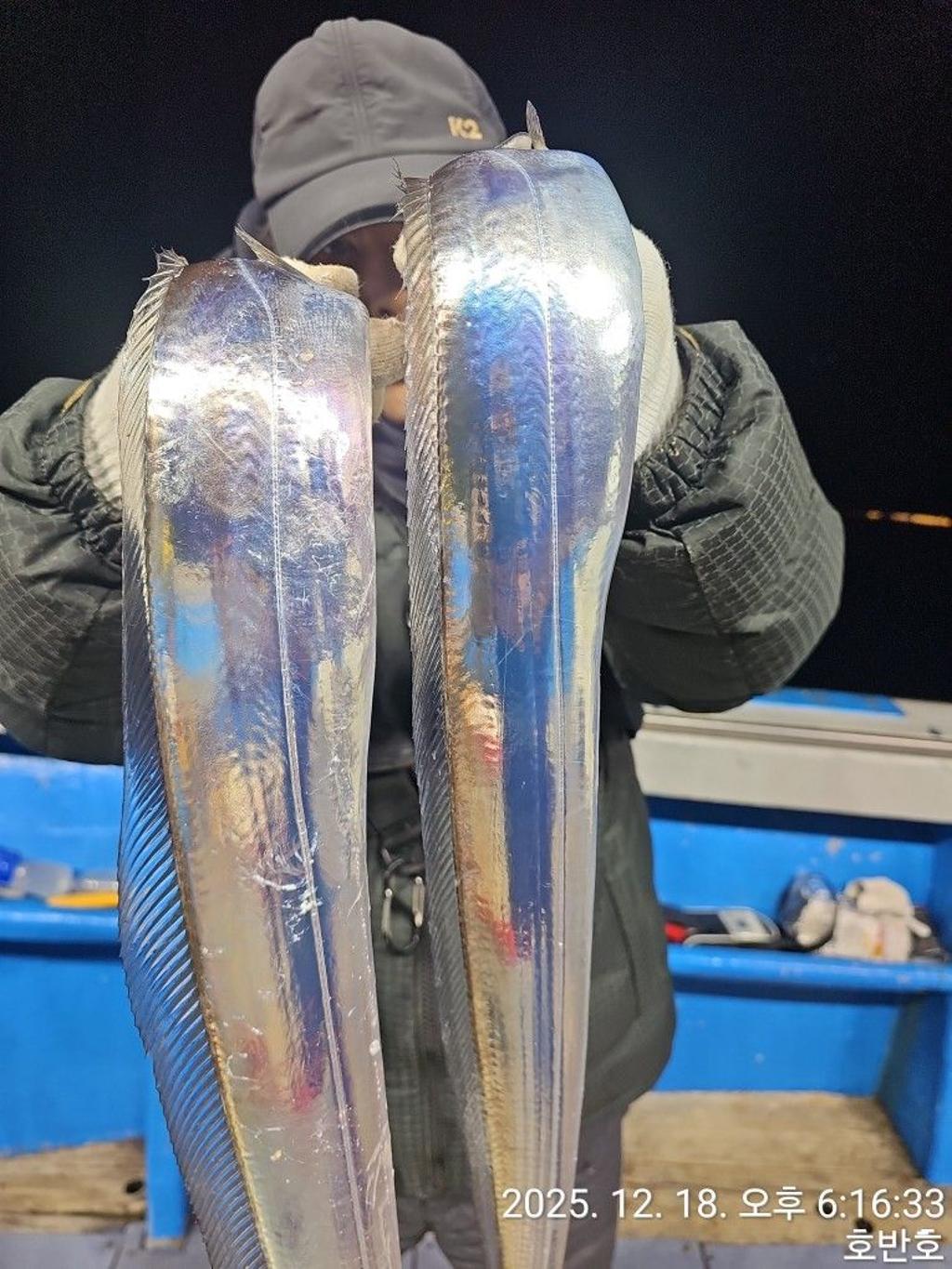 낚시뚜,갈치,통영 신전항,통영호반호,낚시뚜26