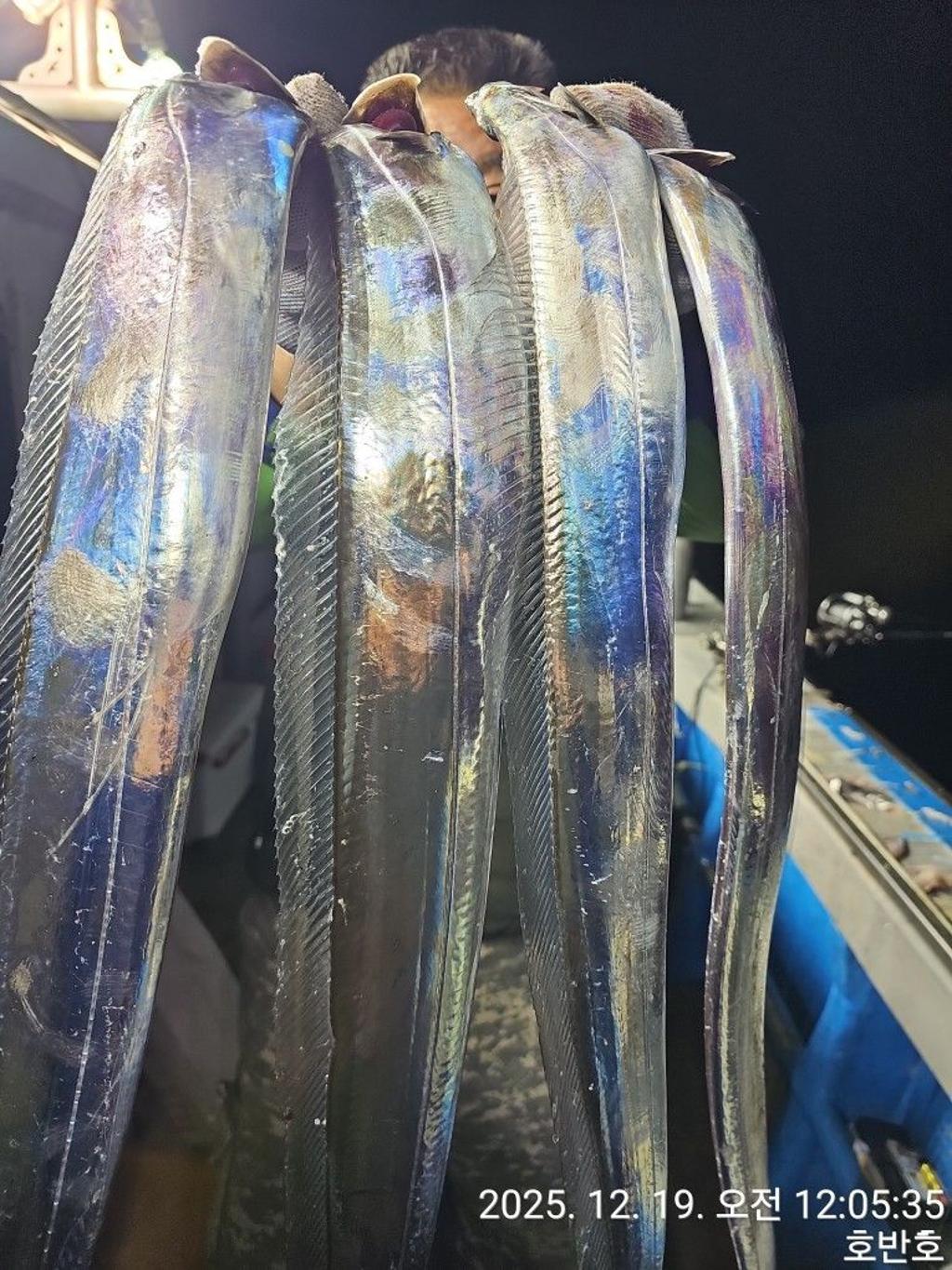 낚시뚜,갈치,통영 신전항,통영호반호,낚시뚜22