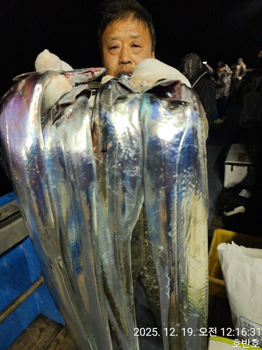 낚시뚜,갈치,통영 신전항,통영호반호,낚시뚜16