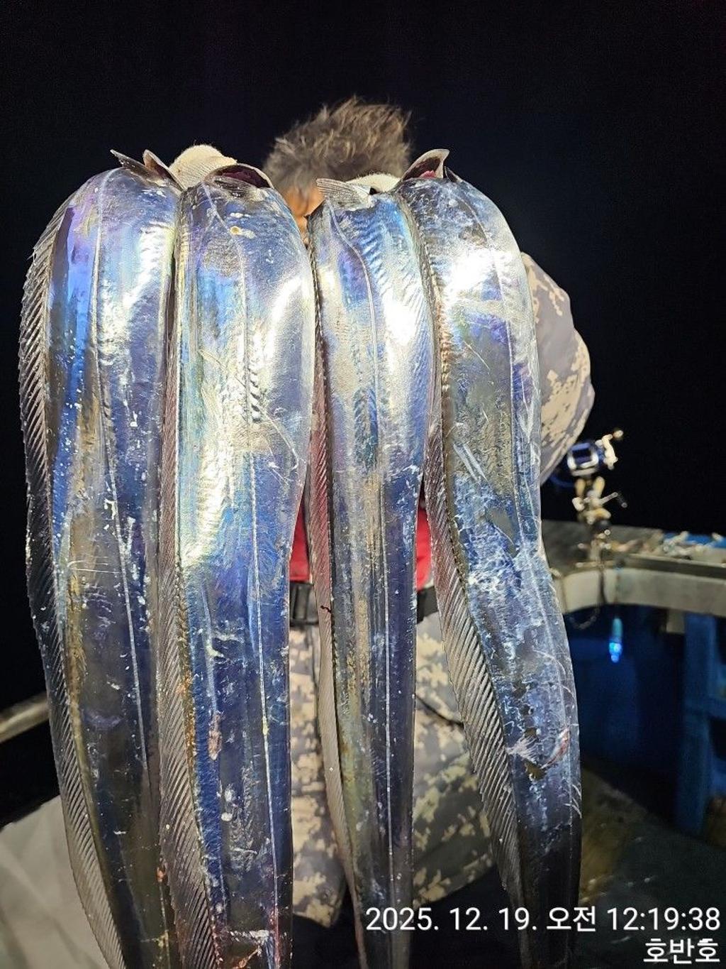 낚시뚜,갈치,통영 신전항,통영호반호,낚시뚜14