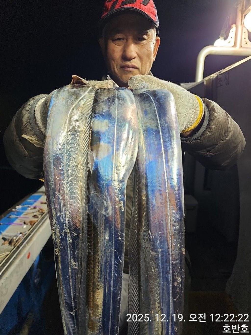 낚시뚜,갈치,통영 신전항,통영호반호,낚시뚜8