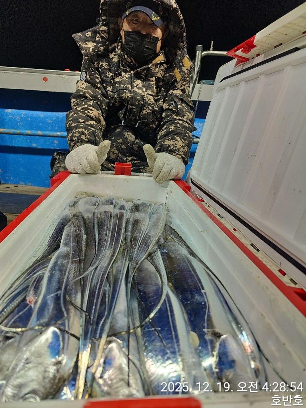 낚시뚜,갈치,통영 신전항,통영호반호,낚시뚜0