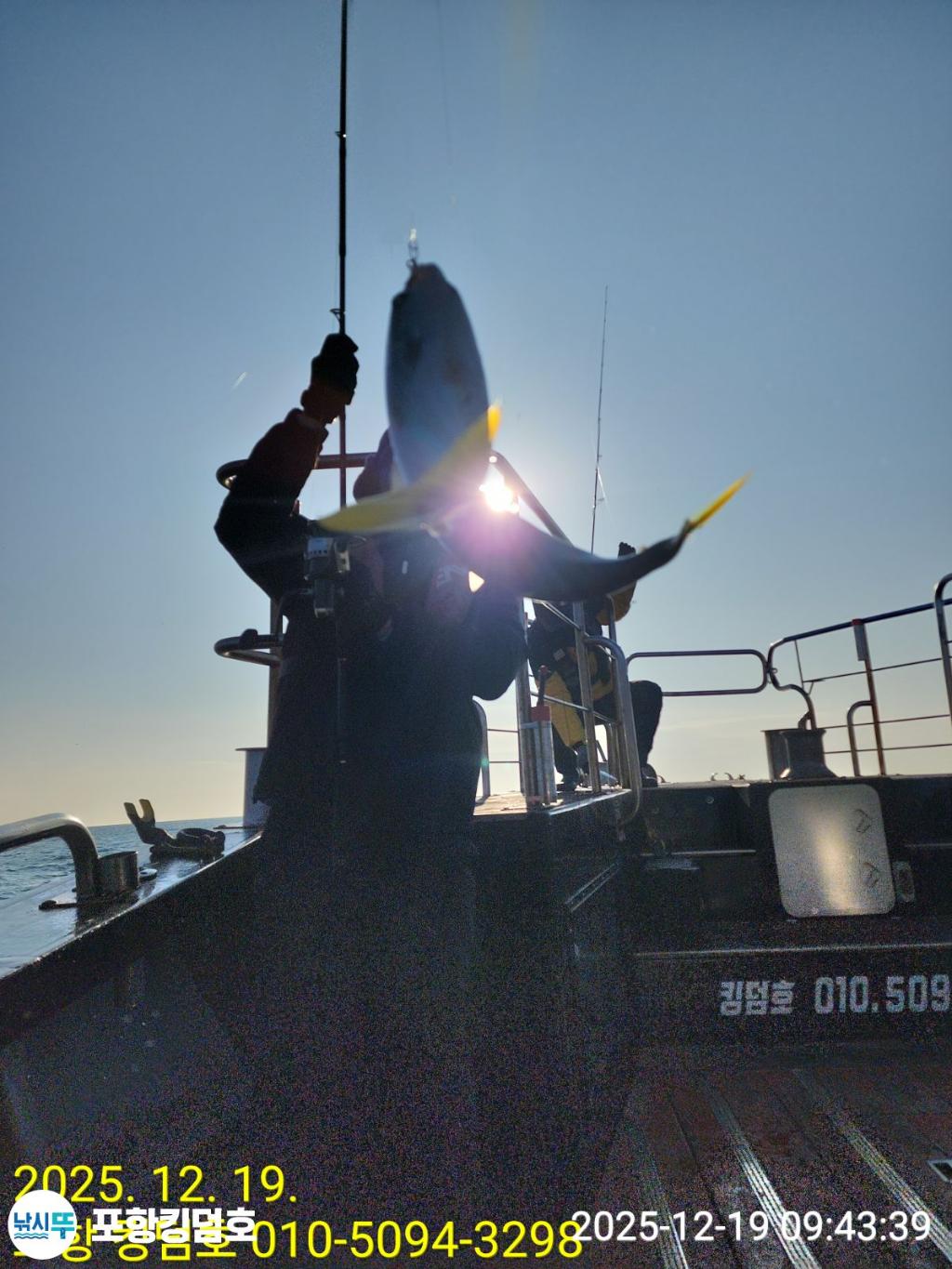 낚시뚜,방어,삼치,영일만항,포항 킹덤호,낚시뚜18