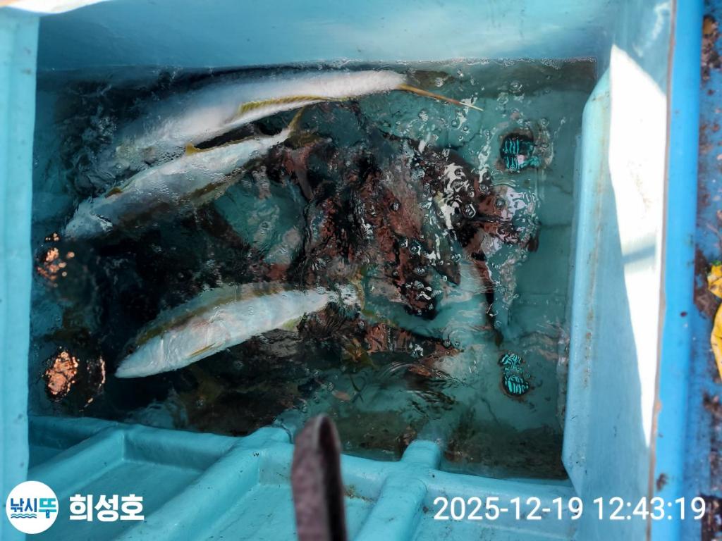 낚시뚜,방어,모슬포항,희성호,낚시뚜2