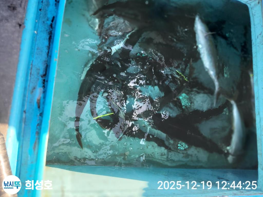 낚시뚜,방어,모슬포항,희성호,낚시뚜1