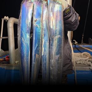 조황, 통영한려피싱 대마귄대칼치초대박쿨러만땅땅땅씨알굿토요일자리여유이습니다