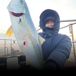 조황, 12-19(실시간)방어.삼치~쿨러 채우러 오세요