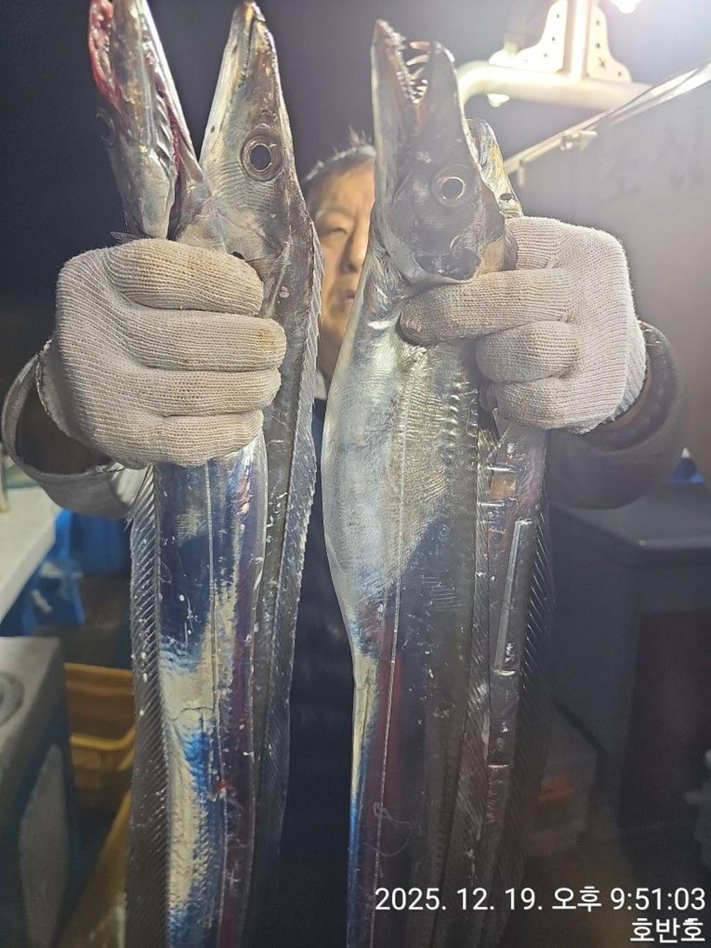 낚시뚜,갈치,통영 신전항,통영호반호,낚시뚜16