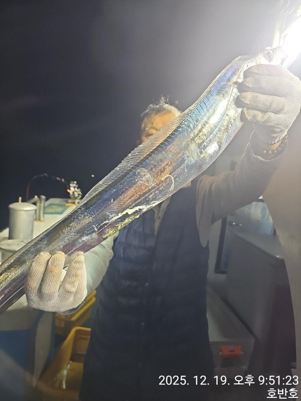 낚시뚜,갈치,통영 신전항,통영호반호,낚시뚜15