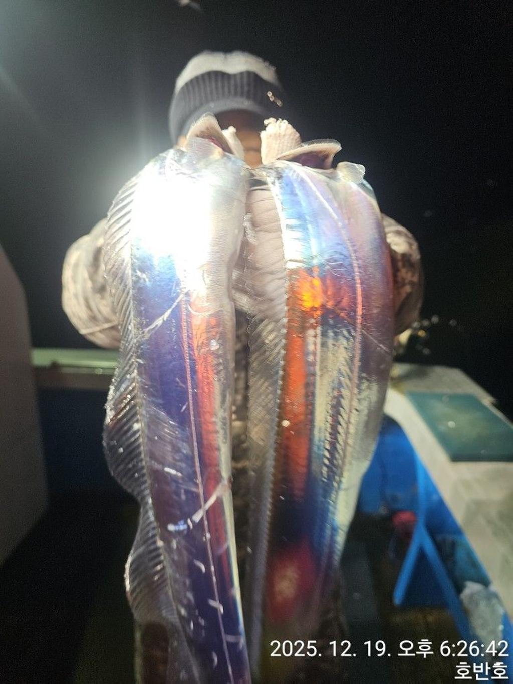 낚시뚜,갈치,통영 신전항,통영호반호,낚시뚜13