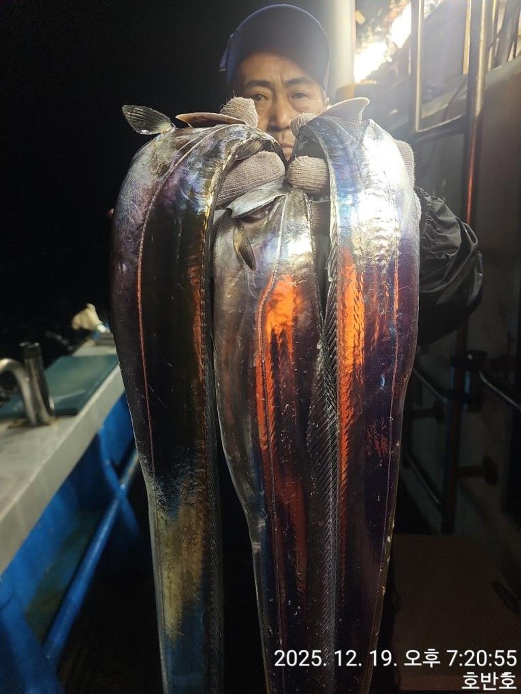 낚시뚜,갈치,통영 신전항,통영호반호,낚시뚜11