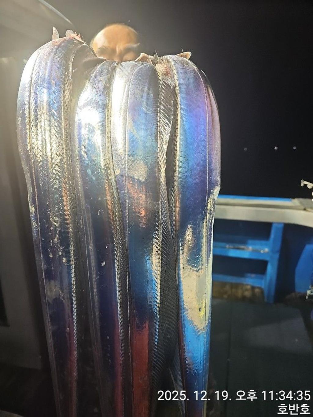 낚시뚜,갈치,통영 신전항,통영호반호,낚시뚜8