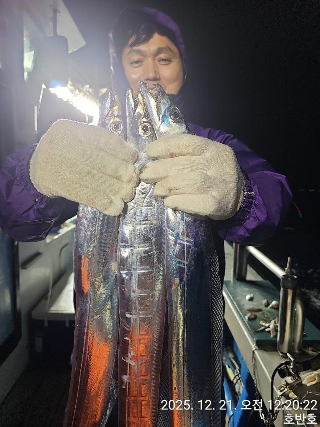 낚시뚜,갈치,통영 신전항,통영호반호,낚시뚜18