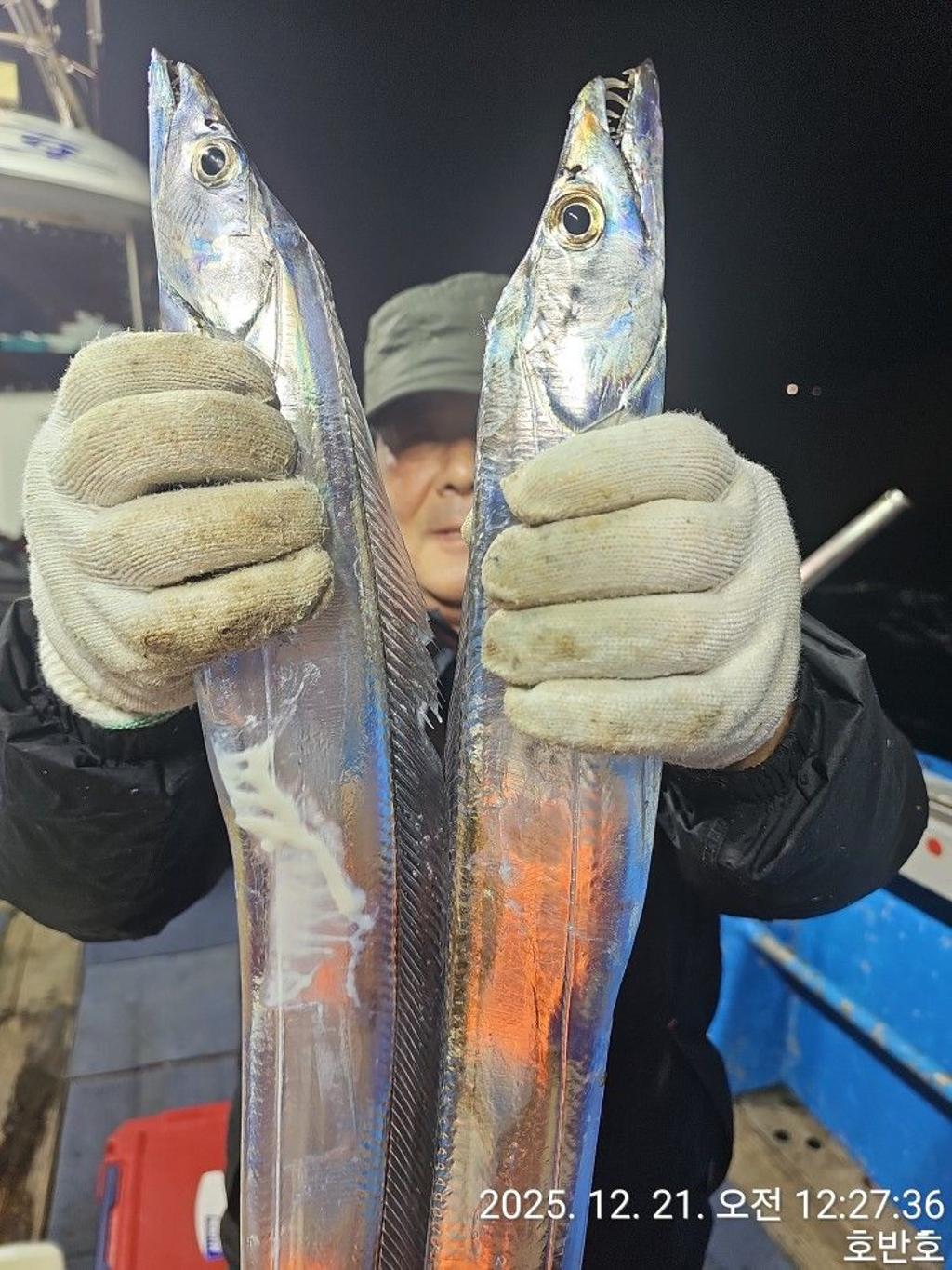 낚시뚜,갈치,통영 신전항,통영호반호,낚시뚜17