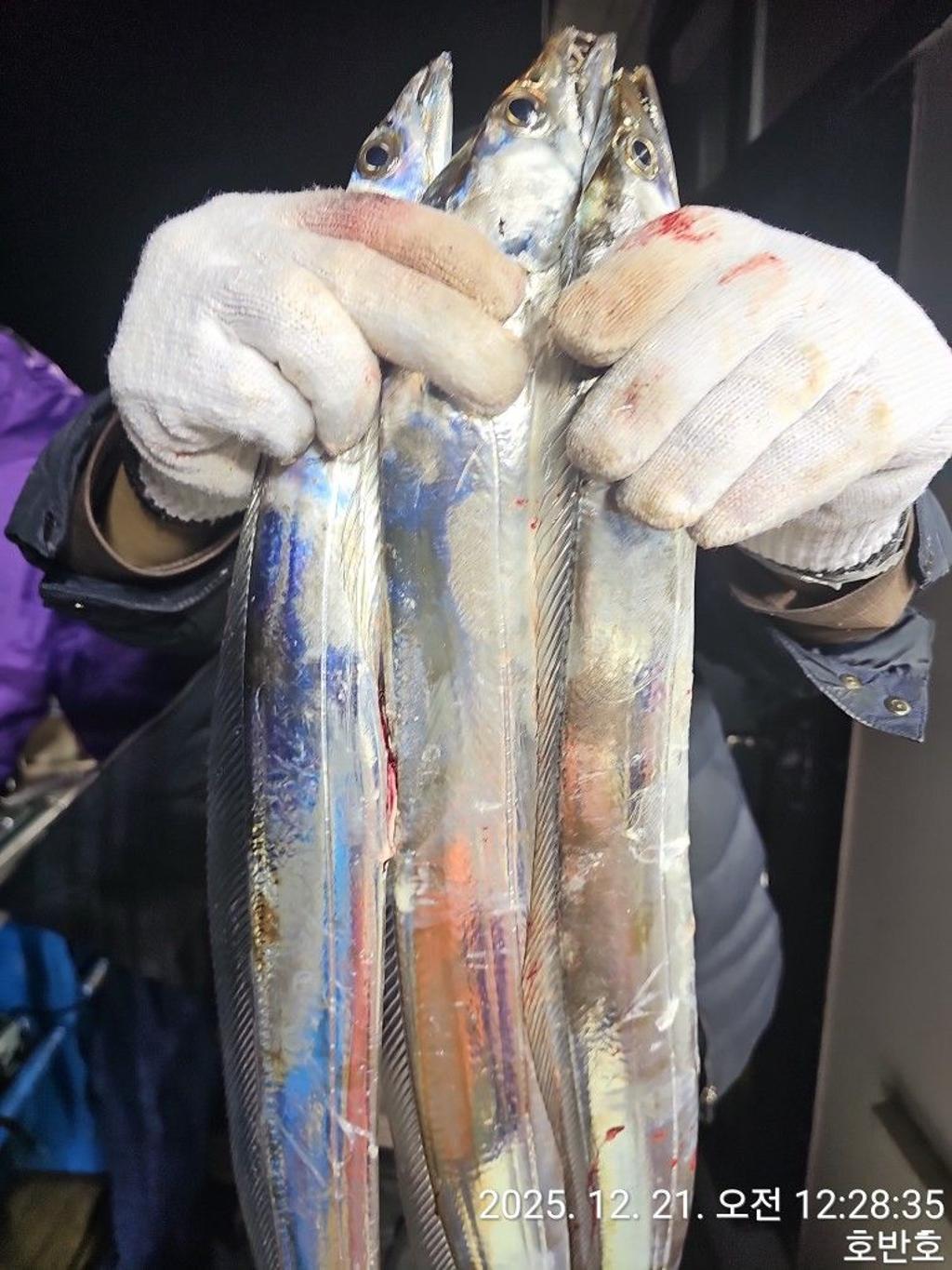 낚시뚜,갈치,통영 신전항,통영호반호,낚시뚜16