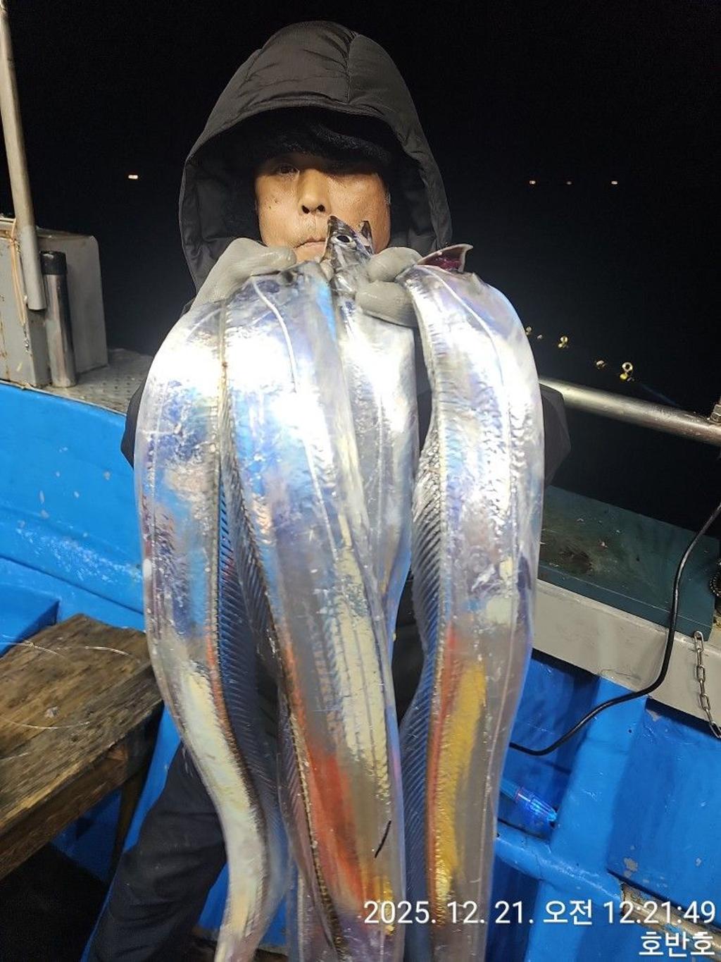 낚시뚜,갈치,통영 신전항,통영호반호,낚시뚜15