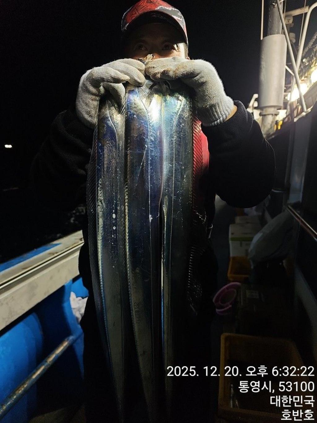 낚시뚜,갈치,통영 신전항,통영호반호,낚시뚜3