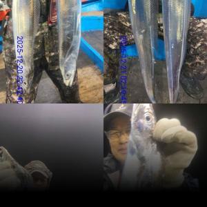 조황, [통영만선피싱] 갈치 다녀왔습니다~ 아직도 시즌인 듯 통통한 갈치!! 기상 허락 시 항상 출조 합니다~~ 예약 문의 주세요^0^*