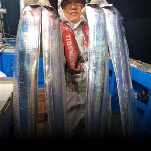 조황, 통영한려피싱 칼치속에고등어찬치화요일자리여유이습니다