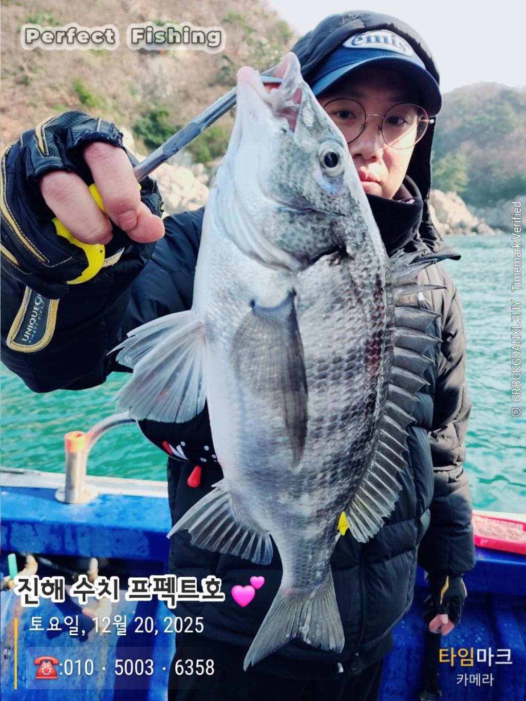 낚시뚜,감성돔,진해 수치마을 방파제,퍼펙트호,낚시뚜1