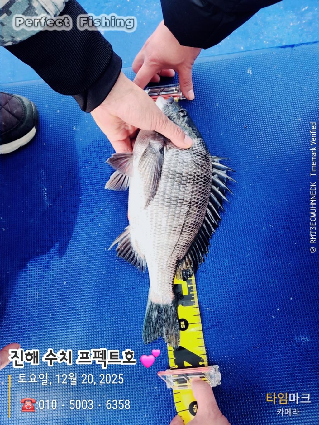 낚시뚜,감성돔,진해 수치마을 방파제,퍼펙트호,낚시뚜2