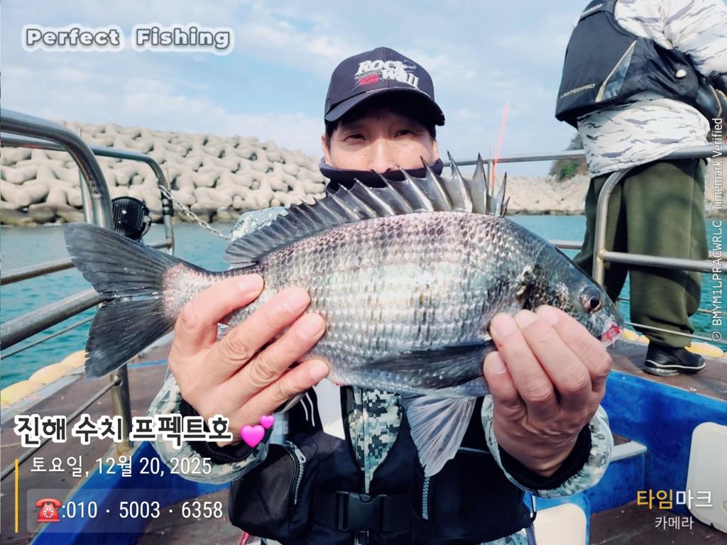 낚시뚜,감성돔,진해 수치마을 방파제,퍼펙트호,낚시뚜3