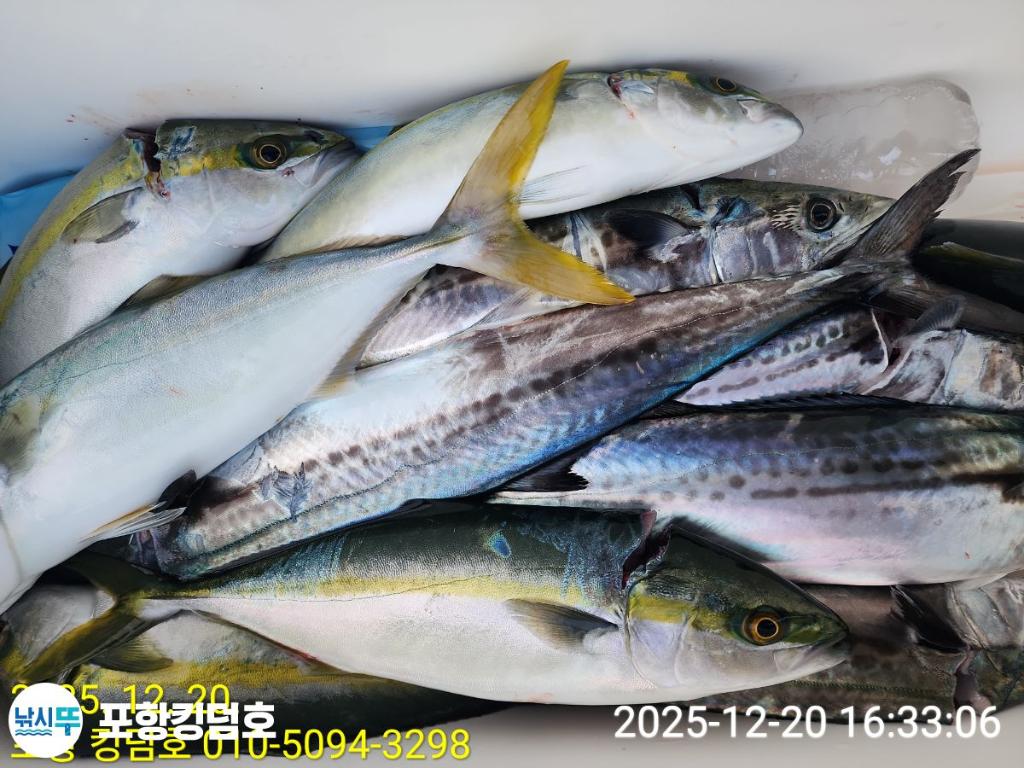 낚시뚜,방어,삼치,영일만항,포항 킹덤호,낚시뚜19