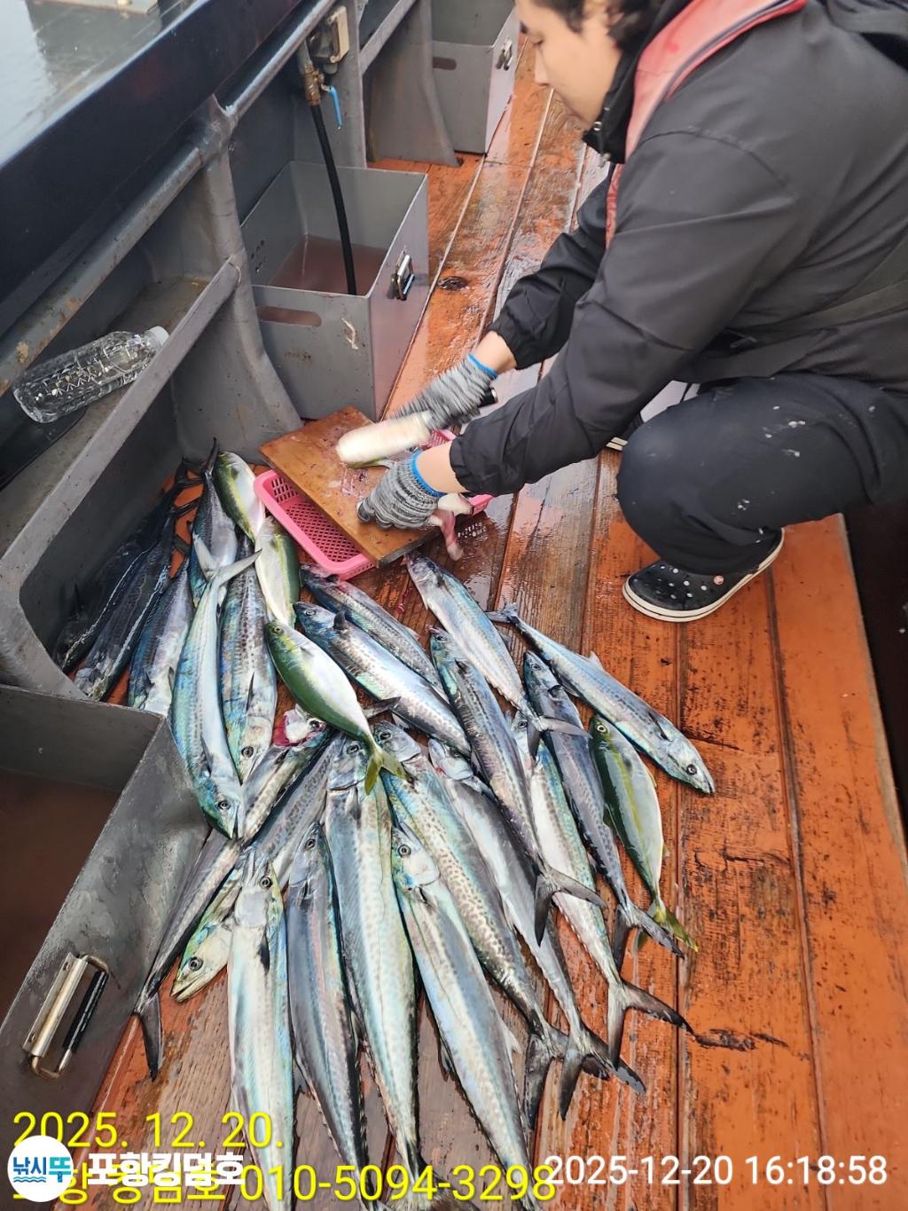 낚시뚜,방어,삼치,영일만항,포항 킹덤호,낚시뚜14