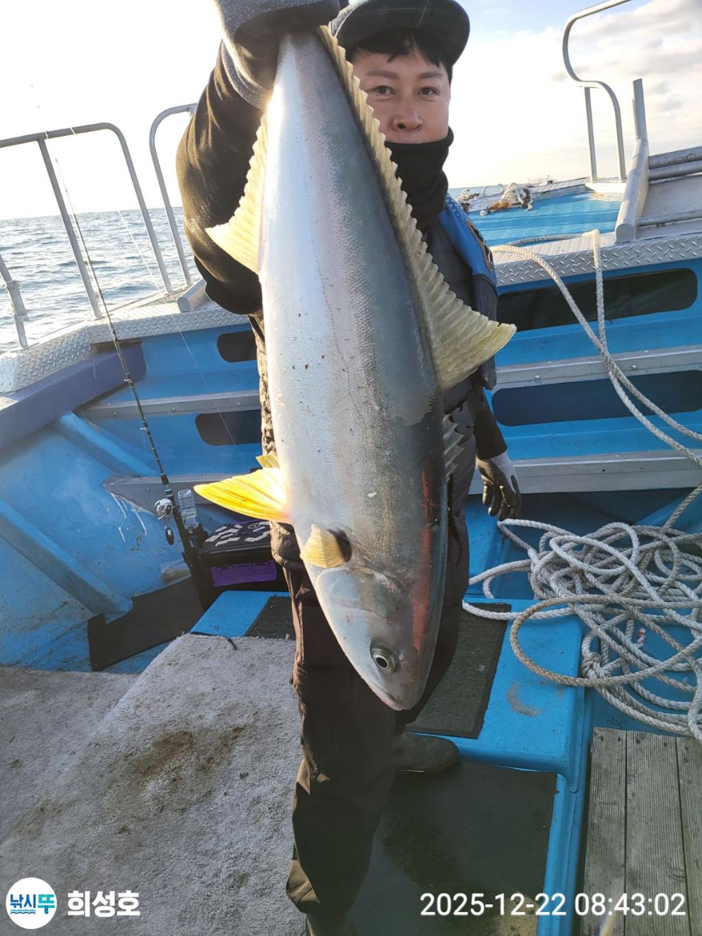 낚시뚜,방어,모슬포항,희성호,낚시뚜14