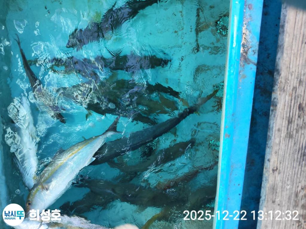낚시뚜,방어,모슬포항,희성호,낚시뚜4