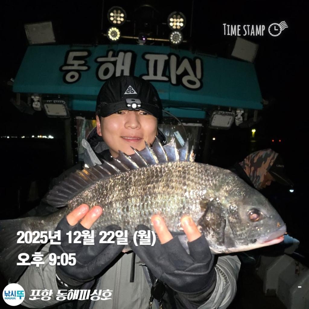 낚시뚜,감성돔,포항(운하관),포항 동해피싱호,낚시뚜12