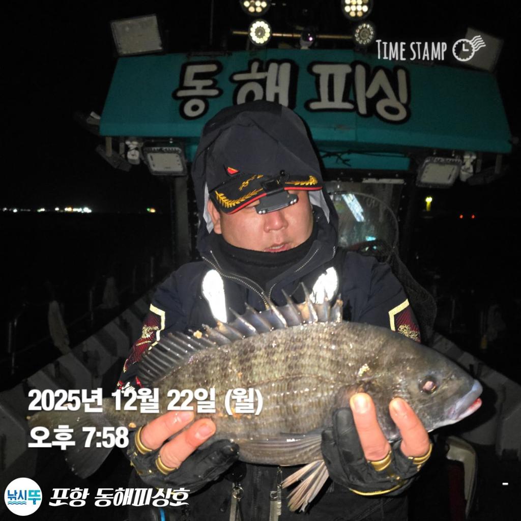 낚시뚜,감성돔,포항(운하관),포항 동해피싱호,낚시뚜10