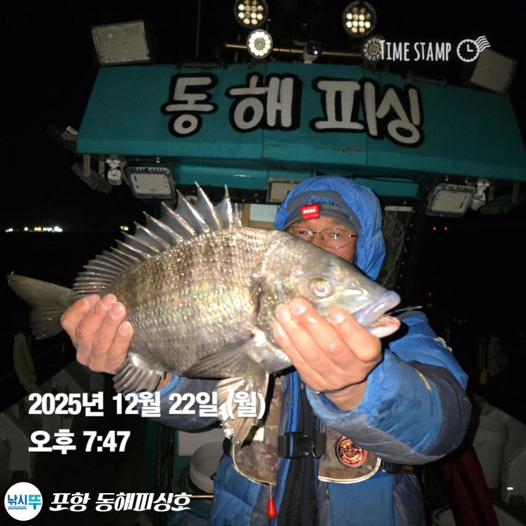 낚시뚜,감성돔,포항(운하관),포항 동해피싱호,낚시뚜8