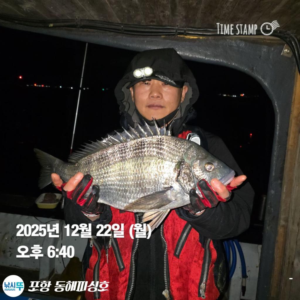 낚시뚜,감성돔,포항(운하관),포항 동해피싱호,낚시뚜6