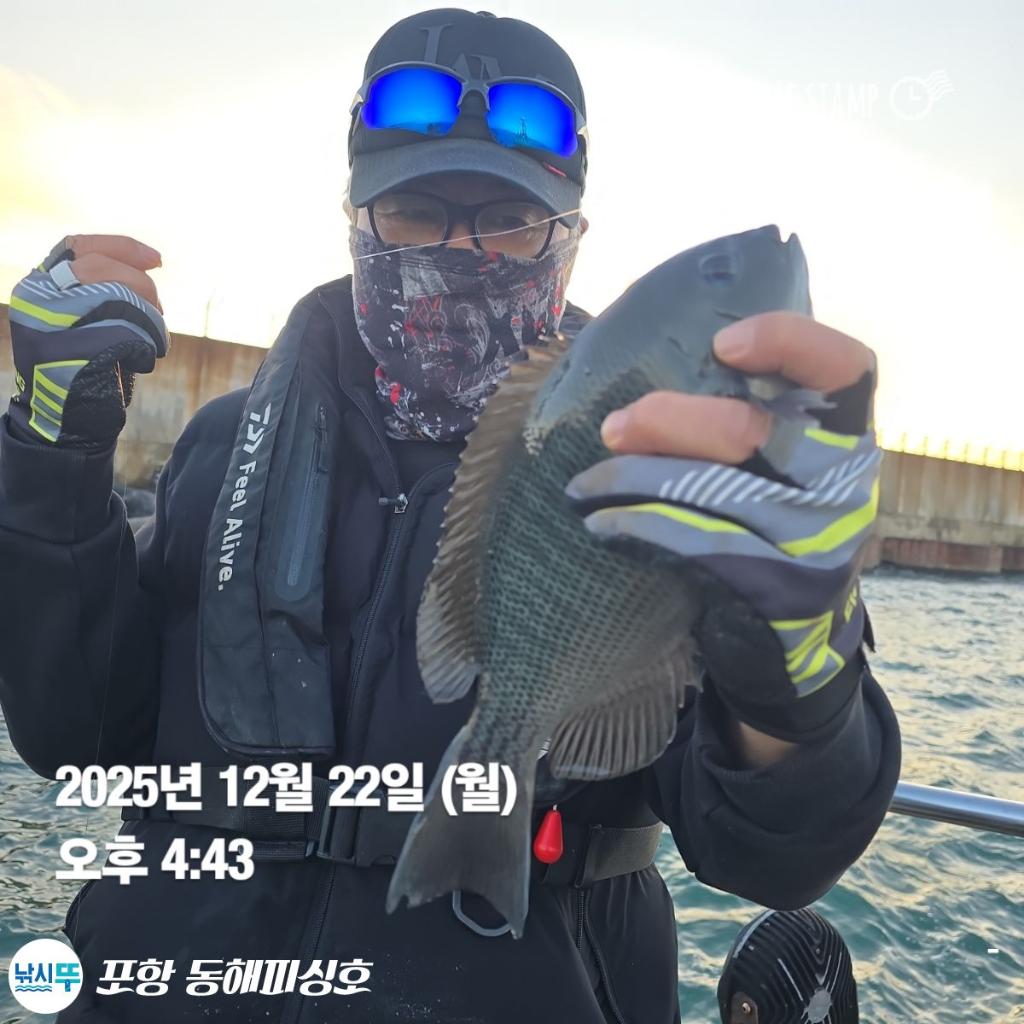 낚시뚜,감성돔,포항(운하관),포항 동해피싱호,낚시뚜5