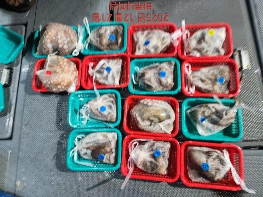 낚시뚜,낙지,속천항(진해),바루나피싱,낚시뚜10