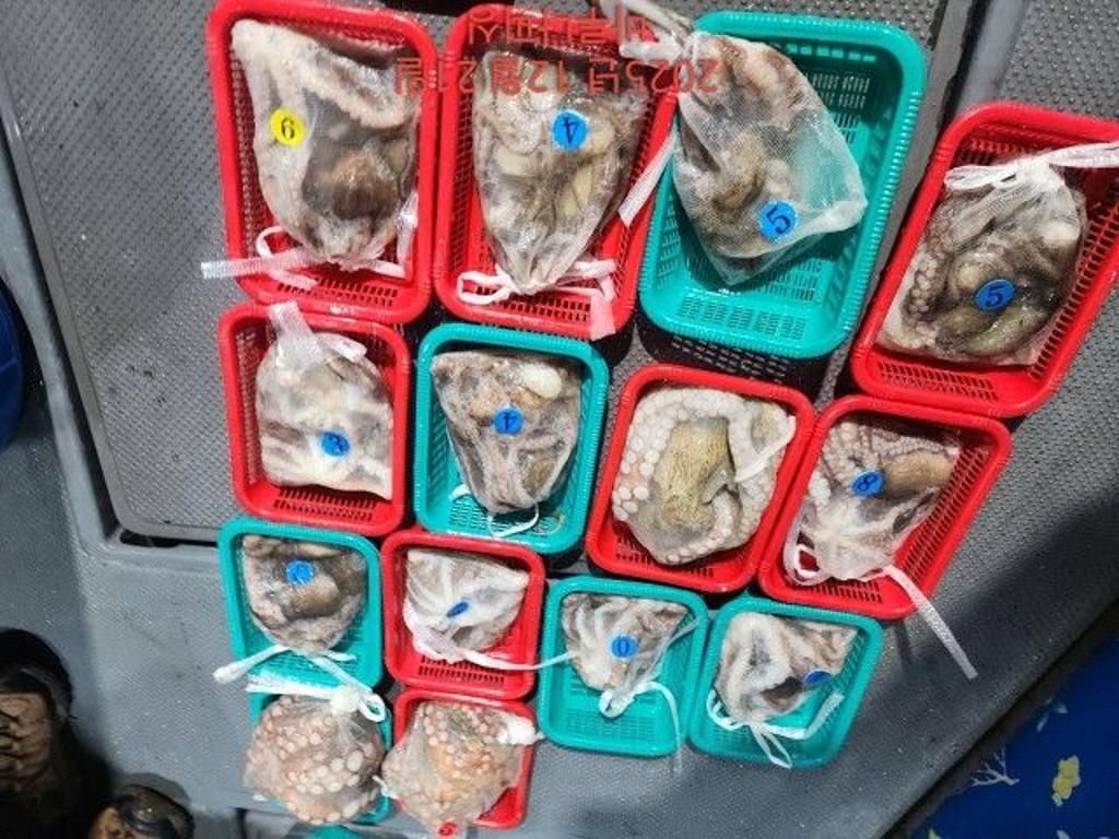 낚시뚜,낙지,속천항(진해),바루나피싱,낚시뚜5