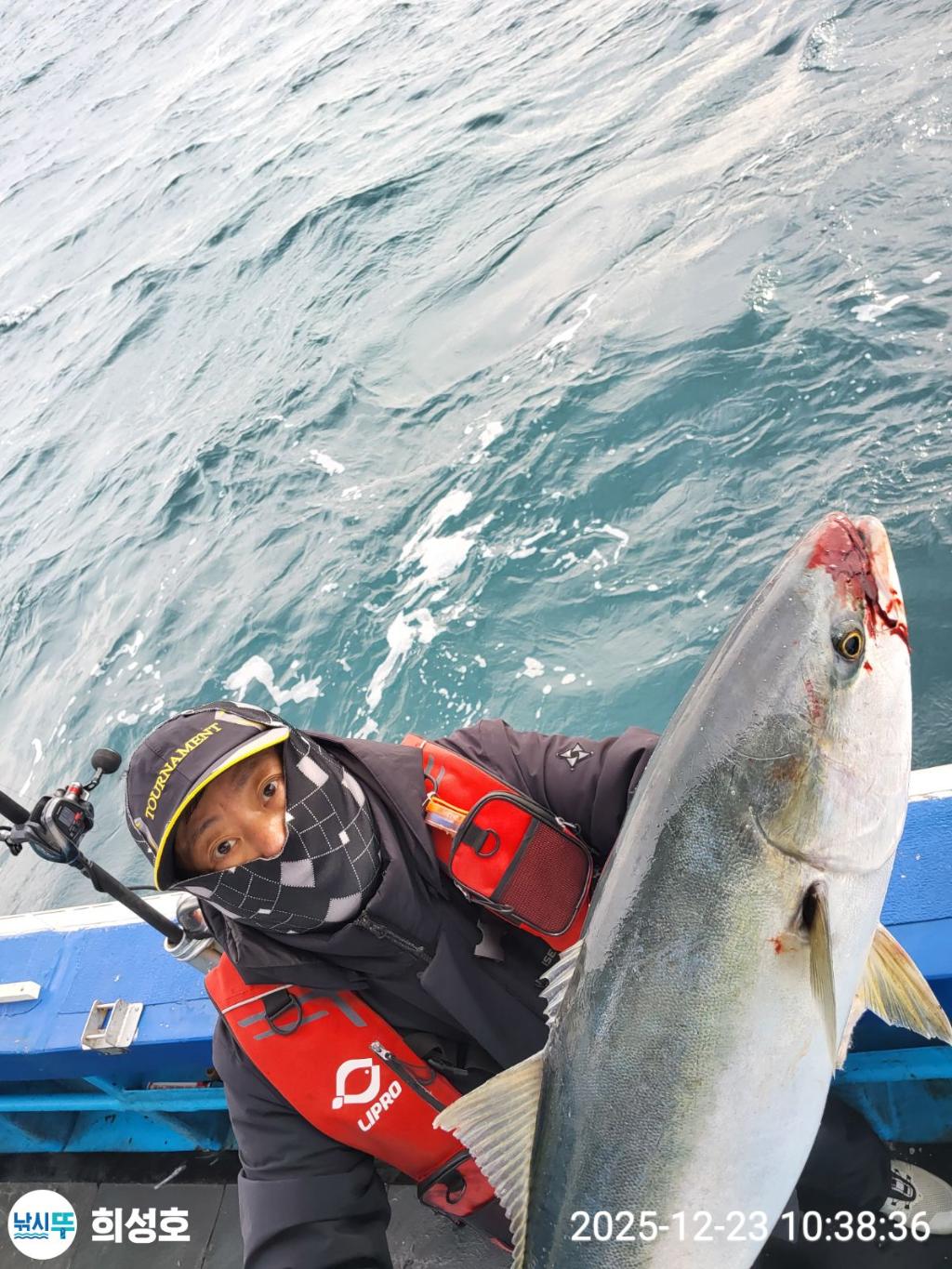 낚시뚜,방어,부시리,모슬포항,희성호,낚시뚜10