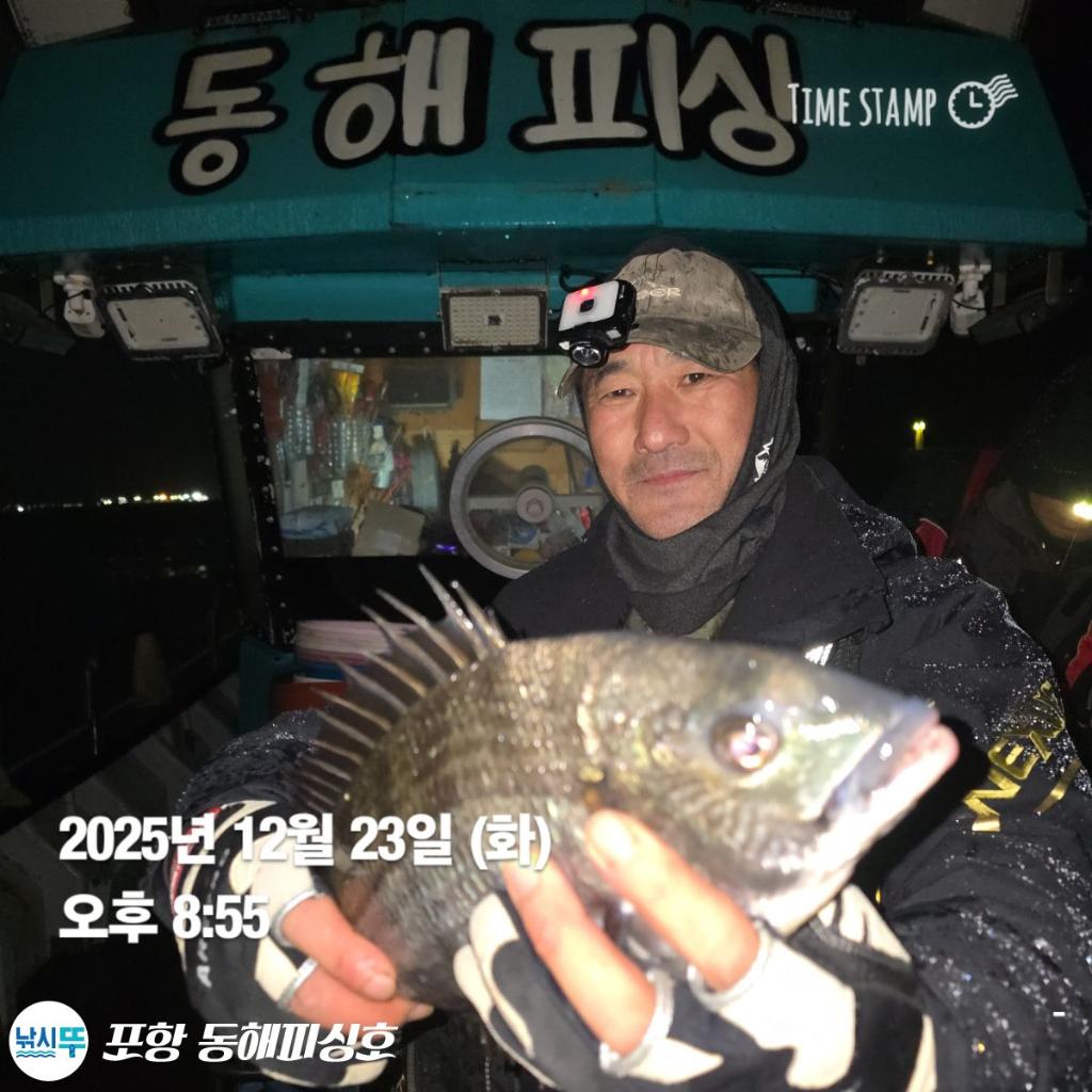 낚시뚜,감성돔,포항(운하관),포항 동해피싱호,낚시뚜7